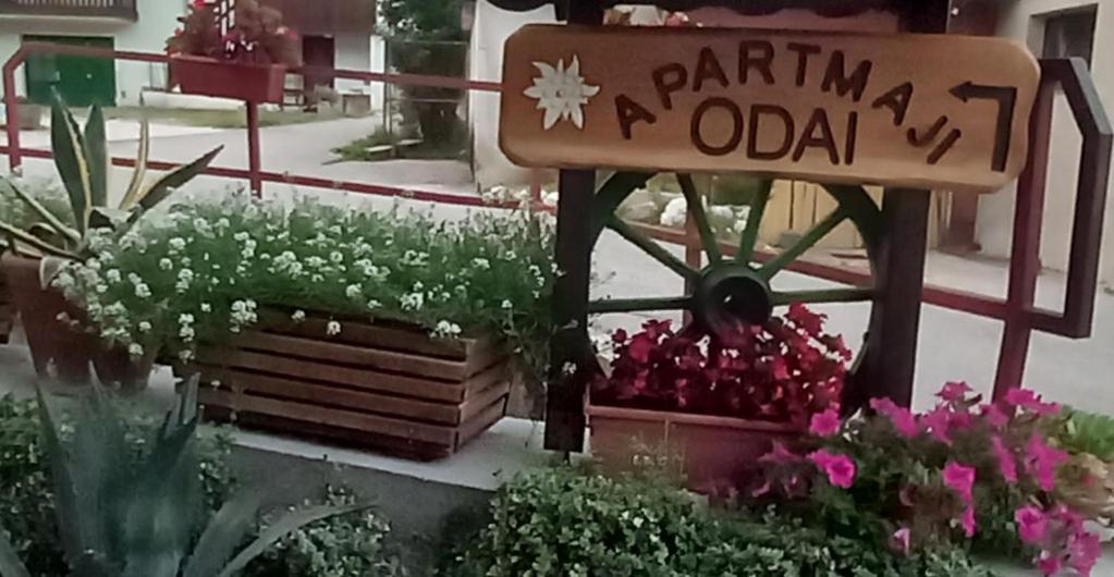 Odai Bovec Extérieur photo