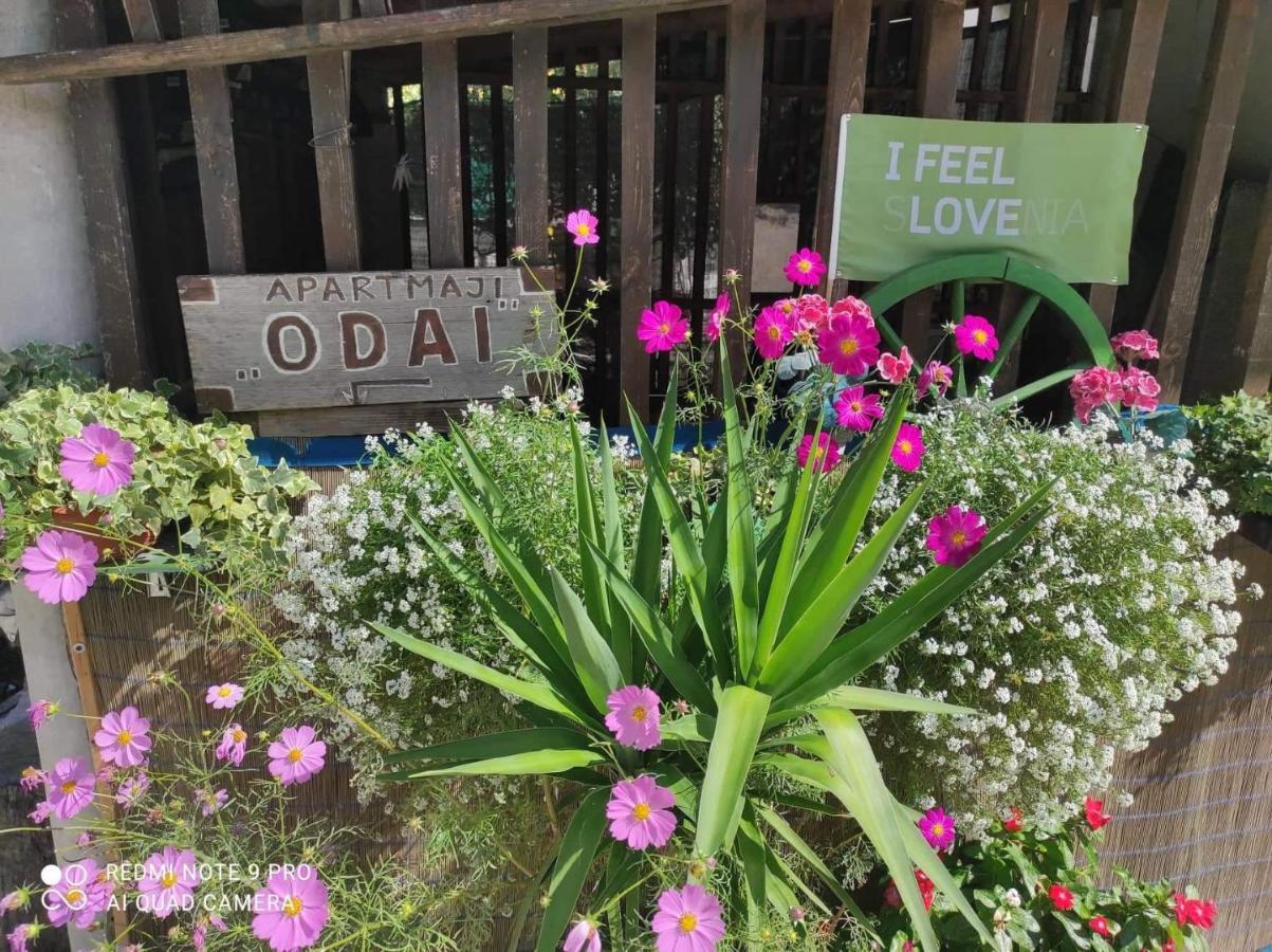 Odai Bovec Extérieur photo